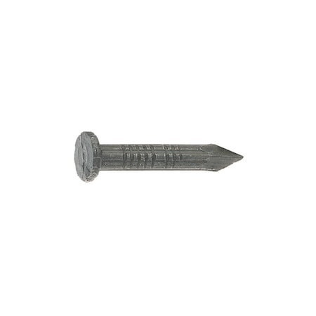 Tinkertools 1 in. 50 lbs Masonry Steel Nail T-Head TI2514302